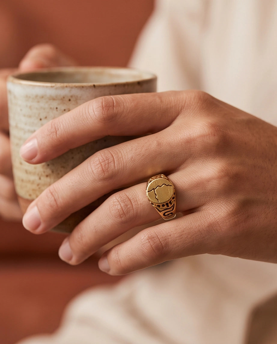 Fissure Medallion Gold Signet Ring