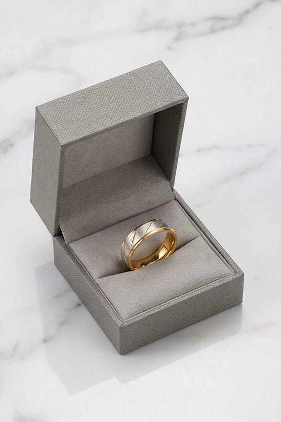 The Two-Tone Artisan Band
