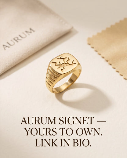 Fractured Mosaic Gold Signet Ring