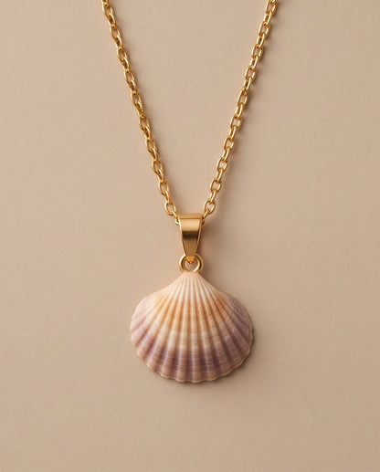 Silver Natural Seashell Pendant Chain Necklace
