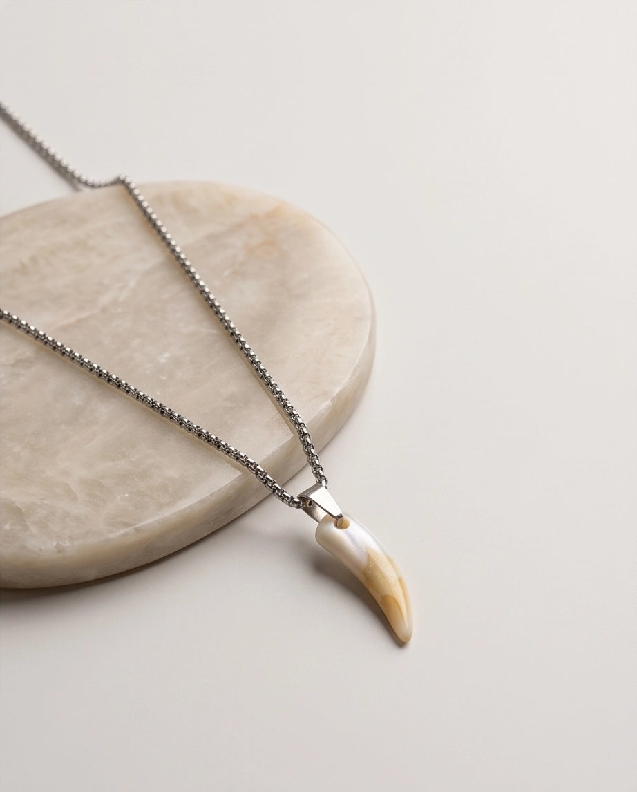 Silver Agate Tooth Pendant Chain Necklace