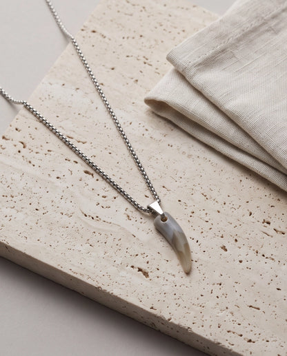Silver Agate Tooth Pendant Chain Necklace