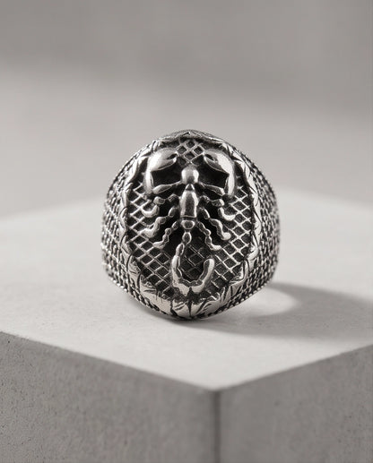 Arachnid Lattice Filigree Silver Ring