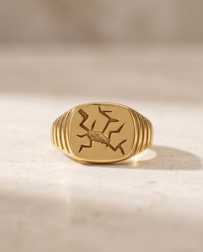 Fractured Mosaic Gold Signet Ring