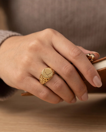 Fissure Medallion Gold Signet Ring