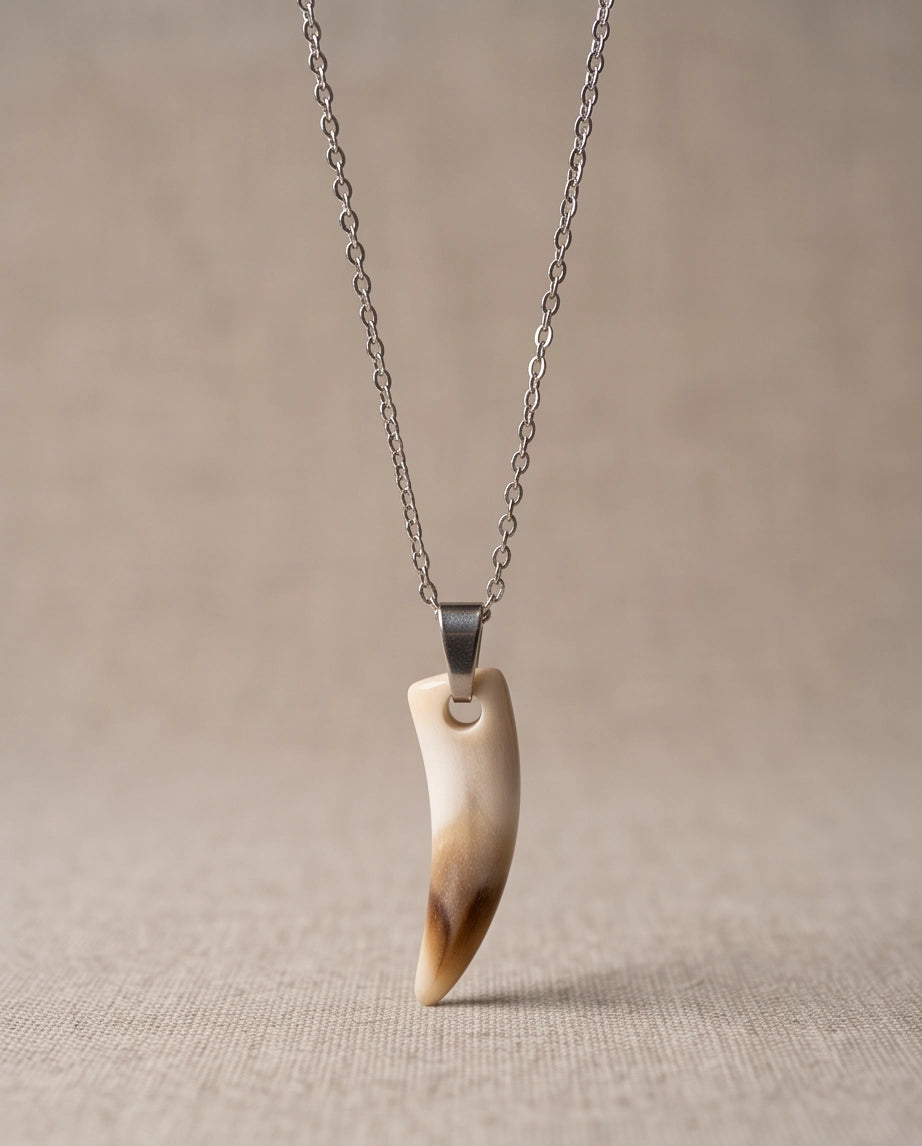 Silver Agate Tooth Pendant Chain Necklace