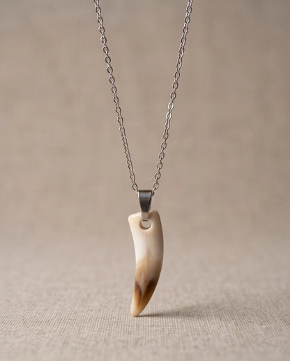 Silver Agate Tooth Pendant Chain Necklace